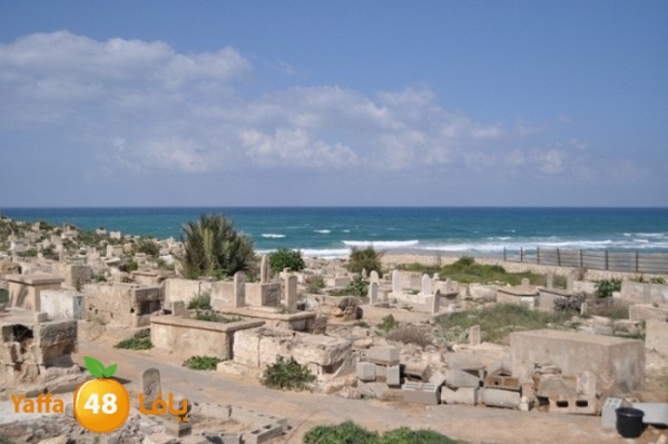 ajyalnewa3maltayba (85).JPG